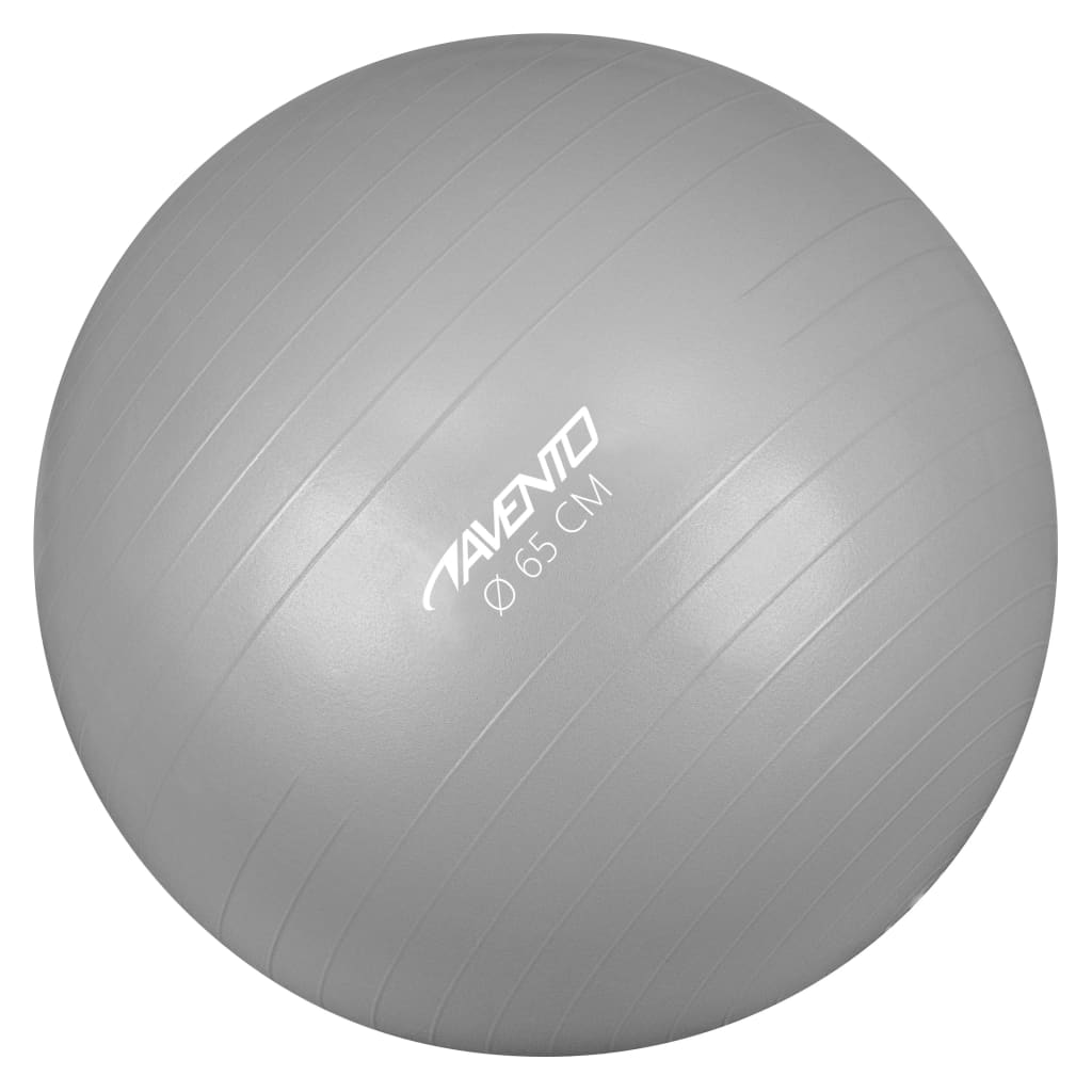 Avento Fitness/gymnastický míč průměr 65 cm stříbrný