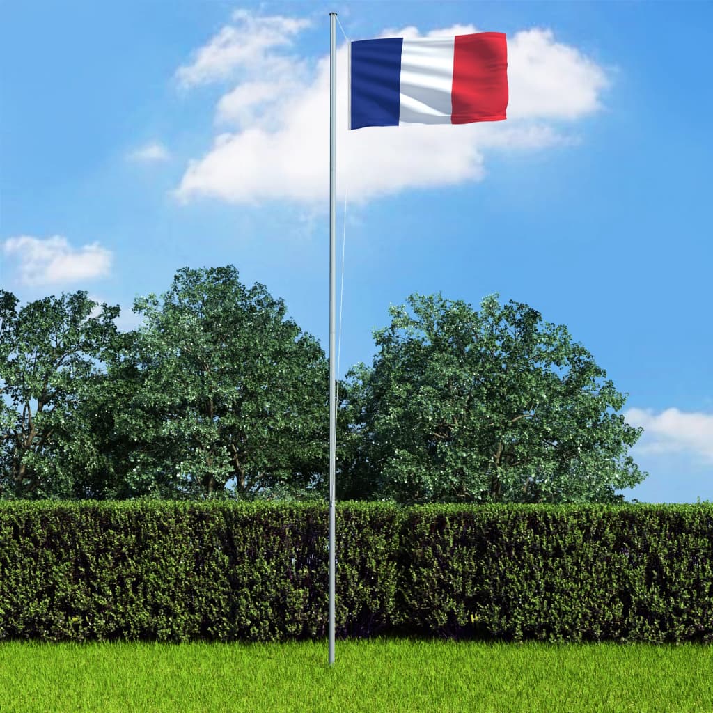 vidaXL Francouzská vlajka 90 x 150 cm