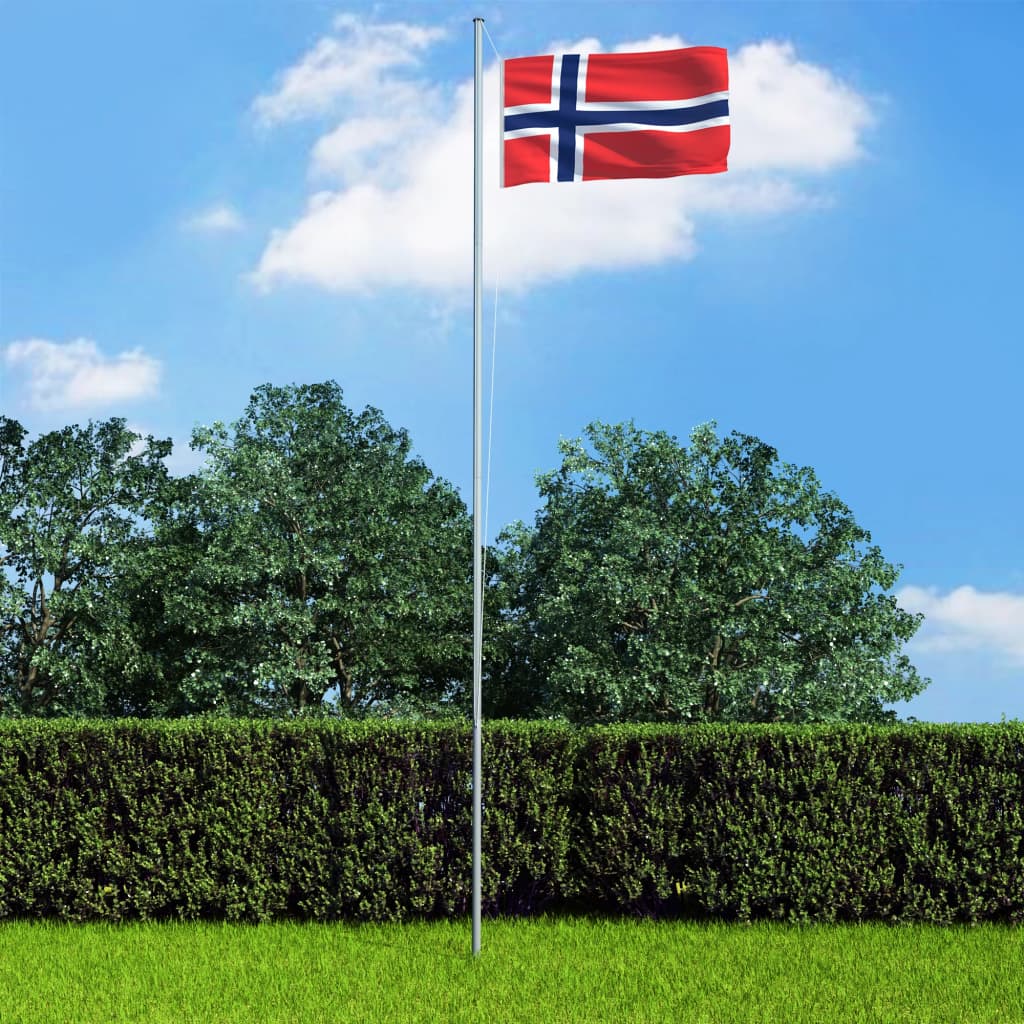 vidaXL Norská vlajka 90 x 150 cm