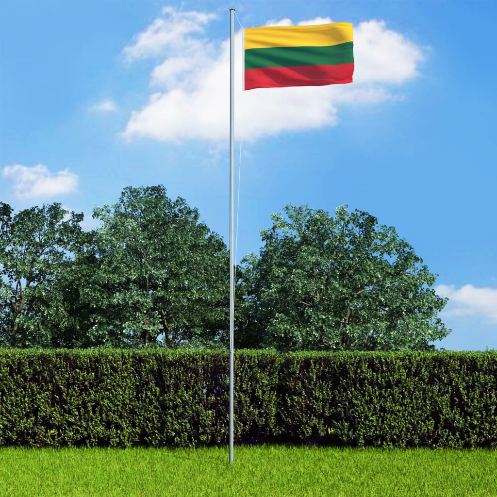 vidaXL Litevská vlajka 90 x 150 cm