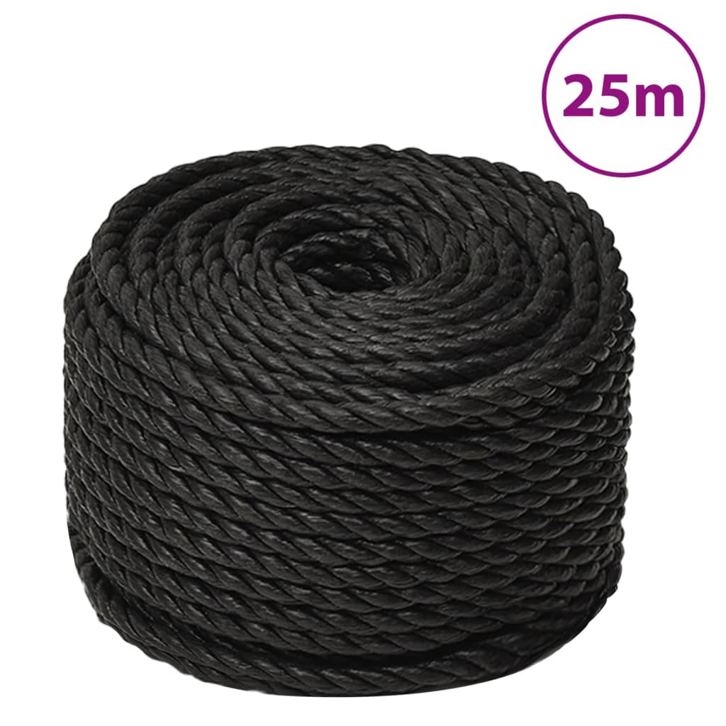 vidaXL Pracovní lano černé 10 mm 25 m polypropylen