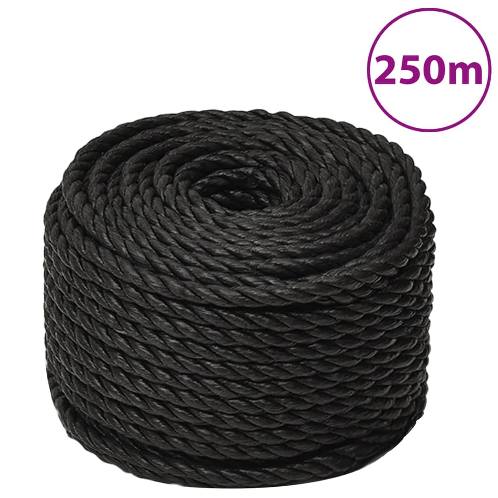 vidaXL Pracovní lano černé 10 mm 250 m polypropylen
