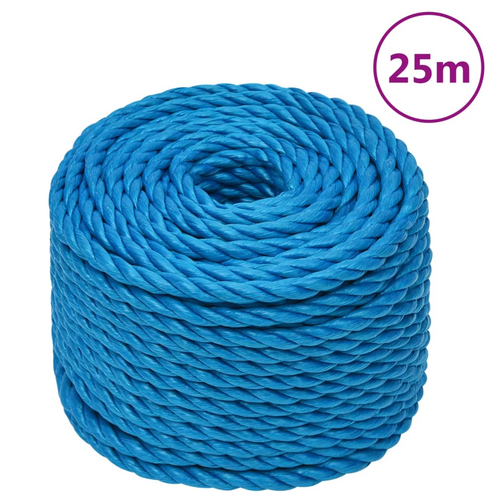 vidaXL Pracovní lano modré 10 mm 25 m polypropylen